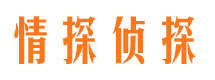 塔河捉小三公司